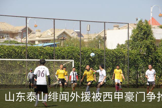 山东泰山绯闻外援被西甲豪门争抢，夏窗换外援的希望又落空