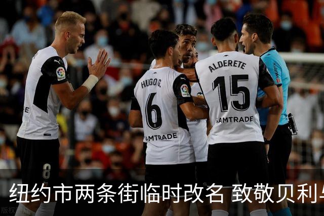 纽约市两条街临时改名 致敬贝利与亨利