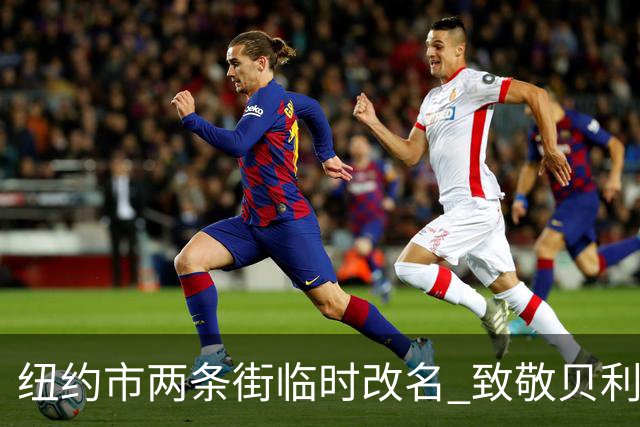纽约市两条街临时改名 致敬贝利与亨利