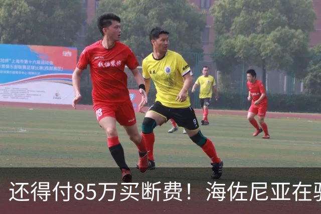 还得付85万买断费！海佐尼亚在骑士年薪280万美元 远不如皇马时期